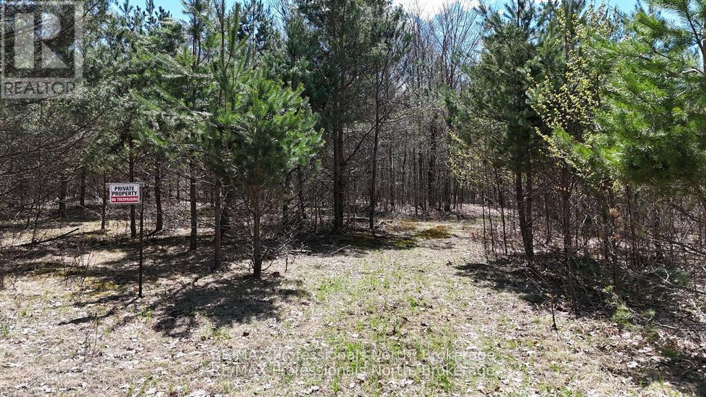 0 Osprey Road, Minden Hills, Ontario  K0M 2K0 - Photo 11 - X12341228