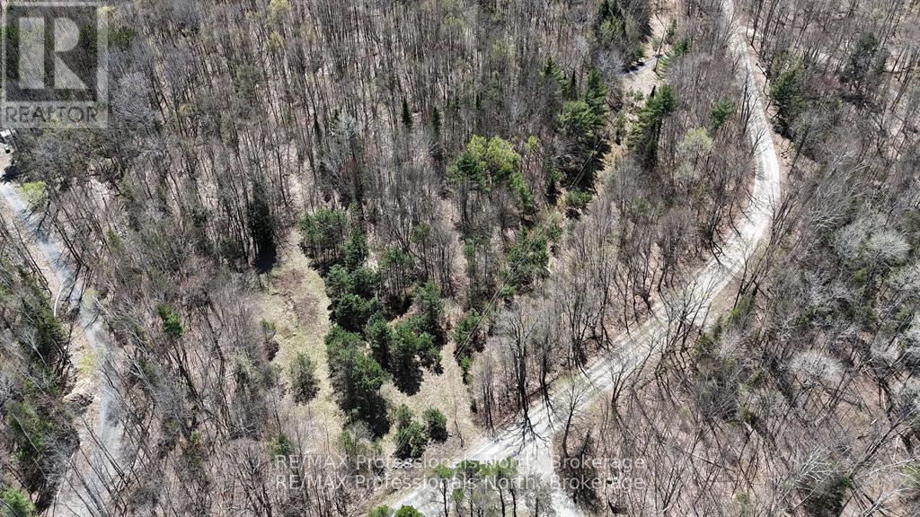 0 Osprey Road, Minden Hills, Ontario  K0M 2K0 - Photo 12 - X12341228