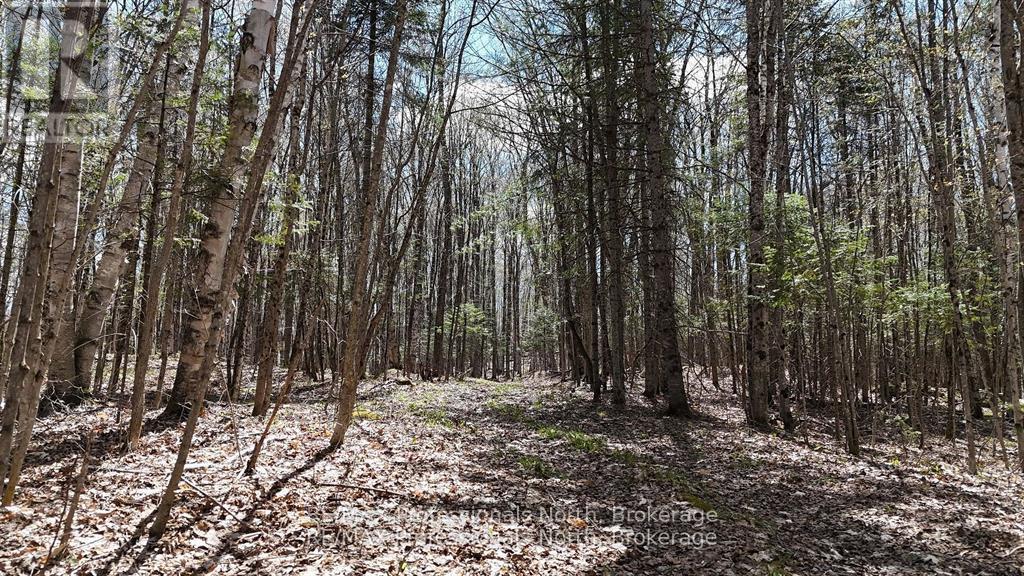 0 Osprey Road, Minden Hills, Ontario  K0M 2K0 - Photo 15 - X12341228