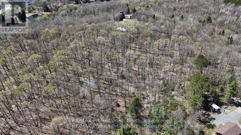 0 Osprey Road, Minden Hills, Ontario  K0M 2K0 - Photo 16 - X12341228