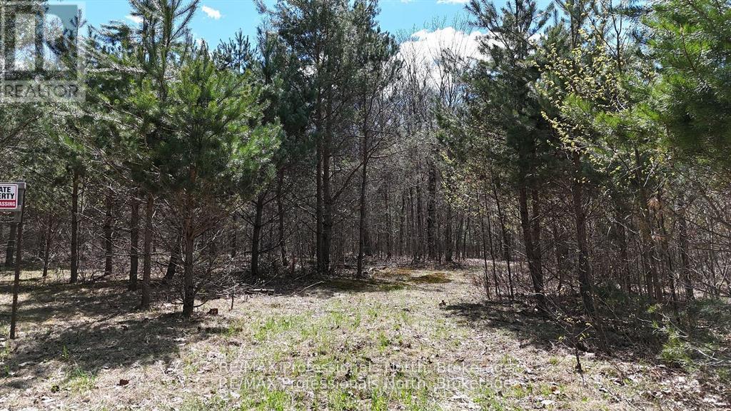 0 Osprey Road, Minden Hills, Ontario  K0M 2K0 - Photo 19 - X12341228