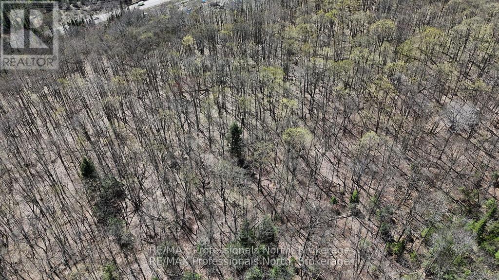 0 Osprey Road, Minden Hills, Ontario  K0M 2K0 - Photo 6 - X12341228