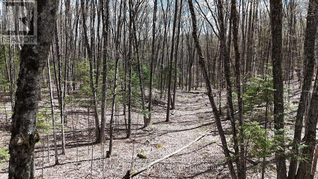0 Osprey Road, Minden Hills, Ontario  K0M 2K0 - Photo 9 - X12341228