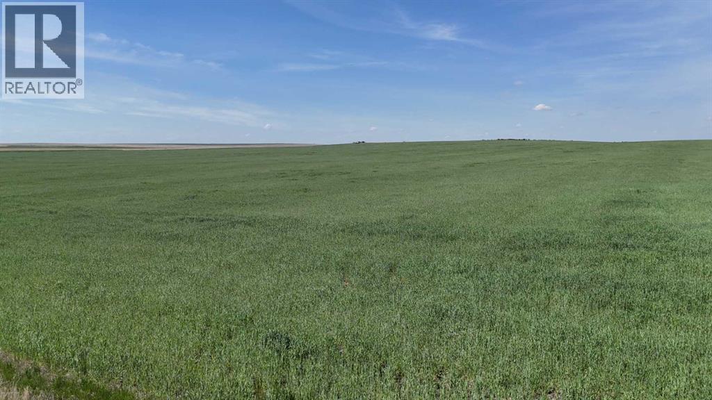 Range Road 243, Rural Vulcan County, Alberta  T0L 0R0 - Photo 19 - A2248231