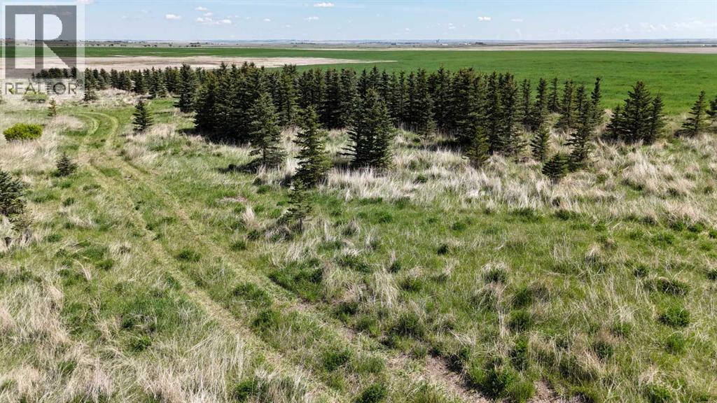 Range Road 243, Rural Vulcan County, Alberta  T0L 0R0 - Photo 29 - A2248231