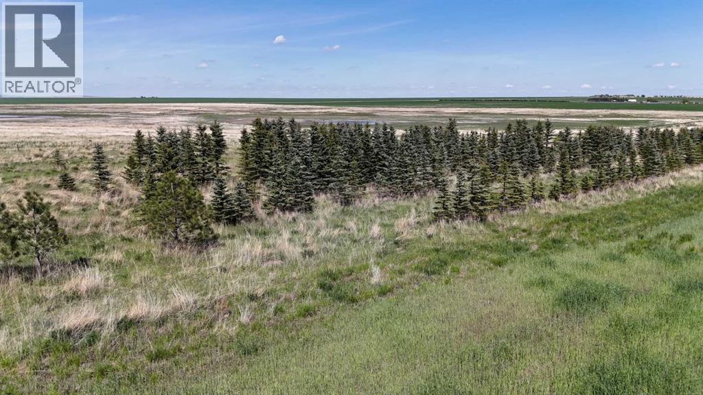 Range Road 243, Rural Vulcan County, Alberta  T0L 0R0 - Photo 39 - A2248231