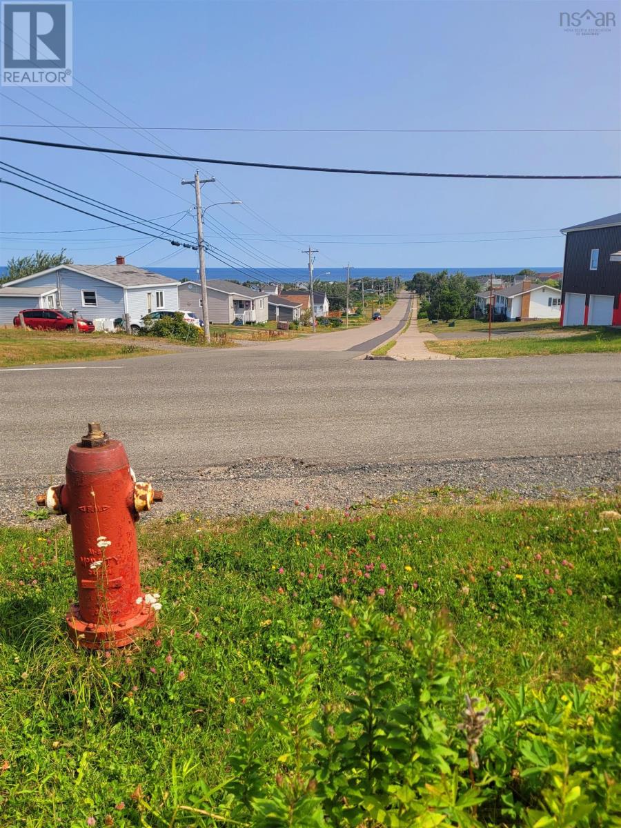 617 Donkin Highway, Donkin, Nova Scotia  B1A 6S8 - Photo 2 - 202520427