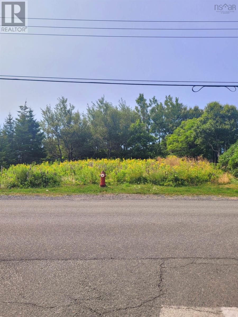 617 Donkin Highway, Donkin, Nova Scotia  B1A 6S8 - Photo 3 - 202520427
