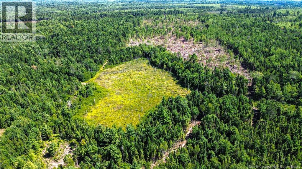 Lot Route 10, Coles Island, New Brunswick  O0O 0O0 - Photo 13 - NB124422
