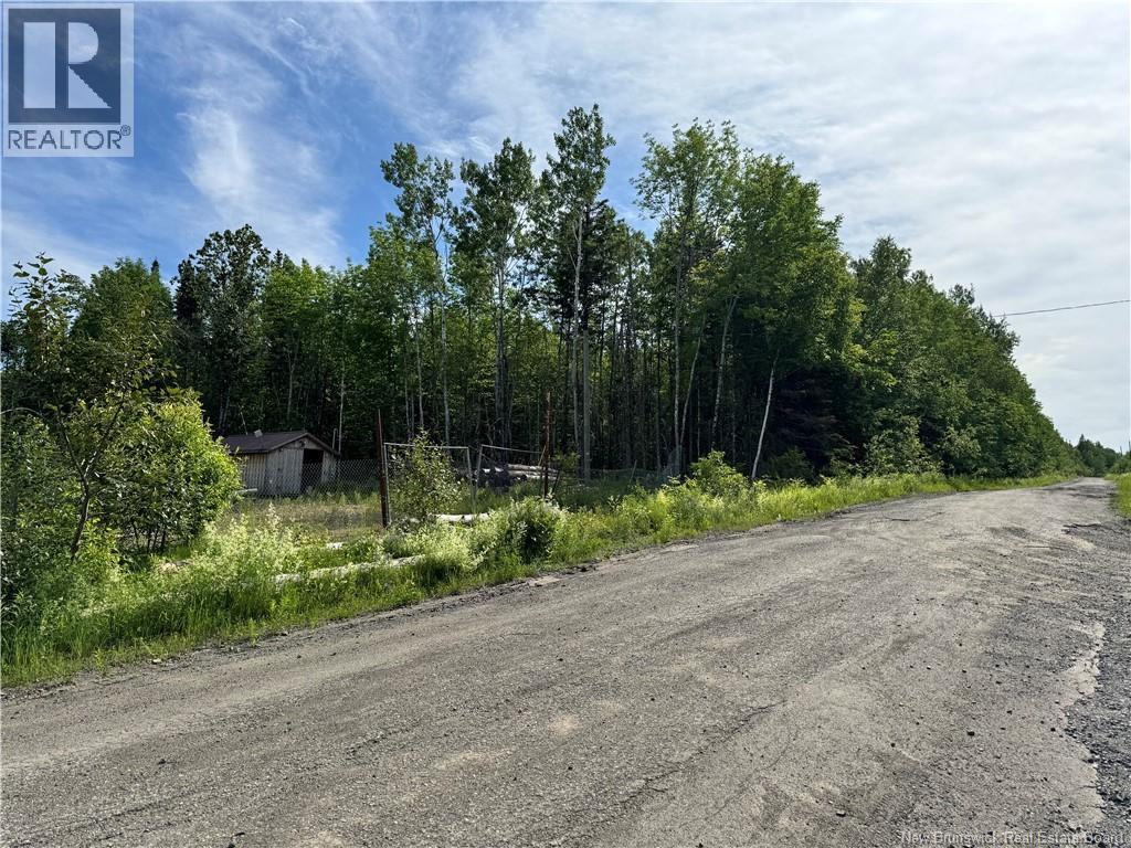 Lot Critter Road, Lower Woodstock, New Brunswick  E7N 2P7 - Photo 5 - NB111956