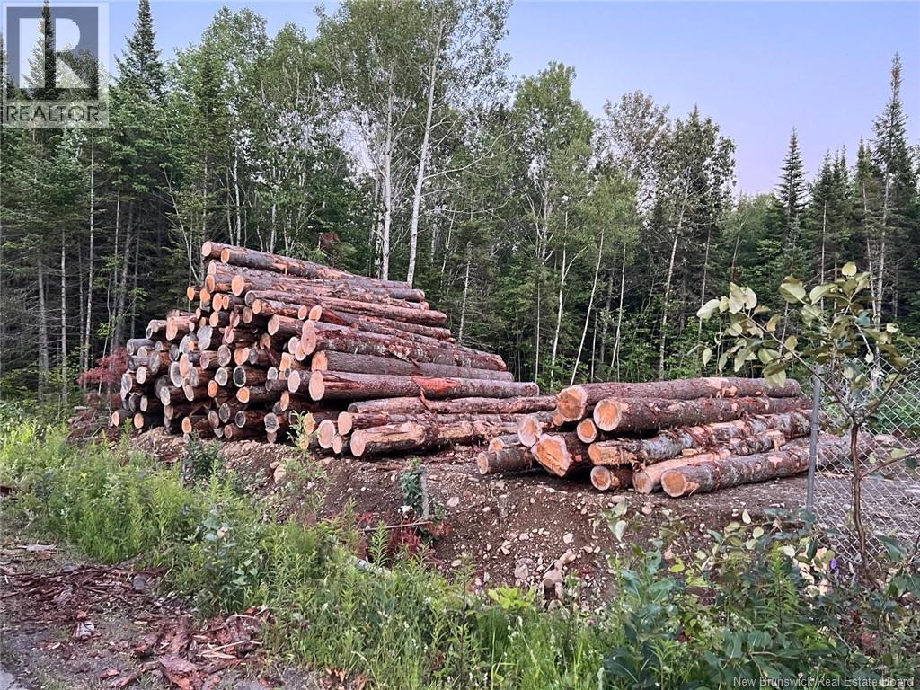 Lot Critter Road, Lower Woodstock, New Brunswick  E7N 2P7 - Photo 12 - NB111956