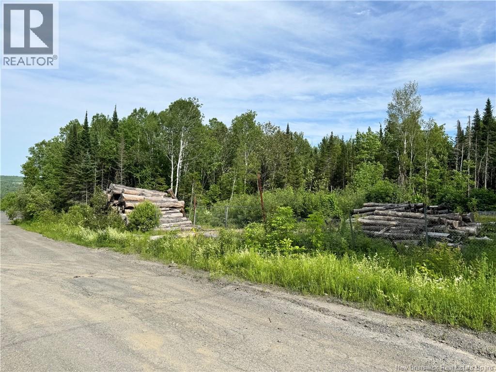 Lot Critter Road, Lower Woodstock, New Brunswick  E7N 2P7 - Photo 6 - NB111956