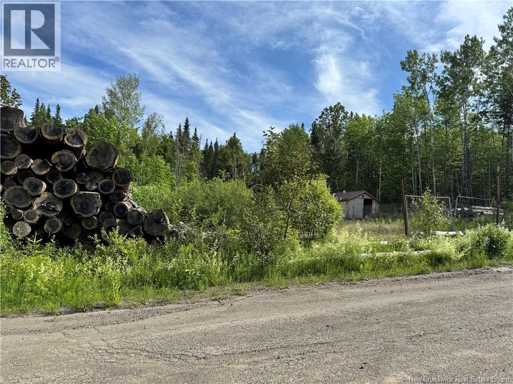 Lot Critter Road, Lower Woodstock, New Brunswick  E7N 2P7 - Photo 4 - NB111956