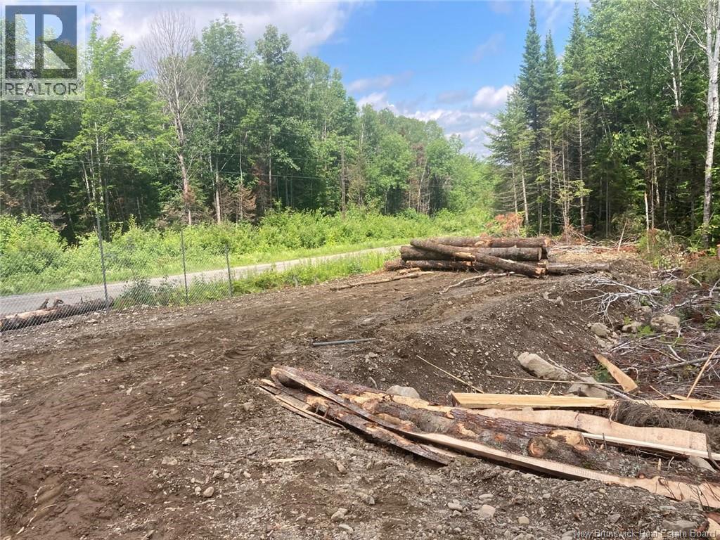 Lot Critter Road, Lower Woodstock, New Brunswick  E7N 2P7 - Photo 10 - NB111956
