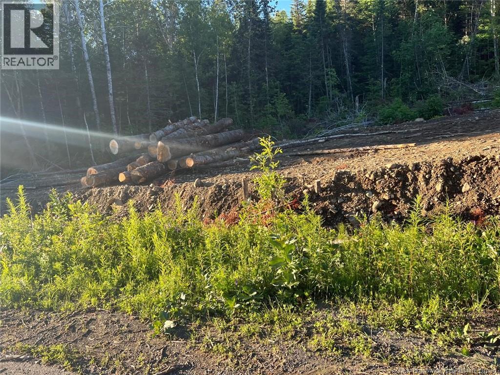 Lot Critter Road, Lower Woodstock, New Brunswick  E7N 2P7 - Photo 11 - NB111956
