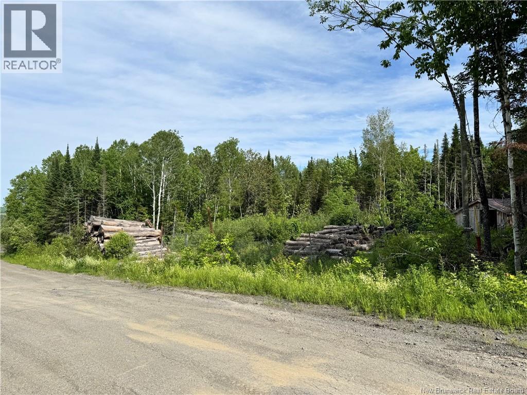 Lot Critter Road, Lower Woodstock, New Brunswick  E7N 2P7 - Photo 7 - NB111956