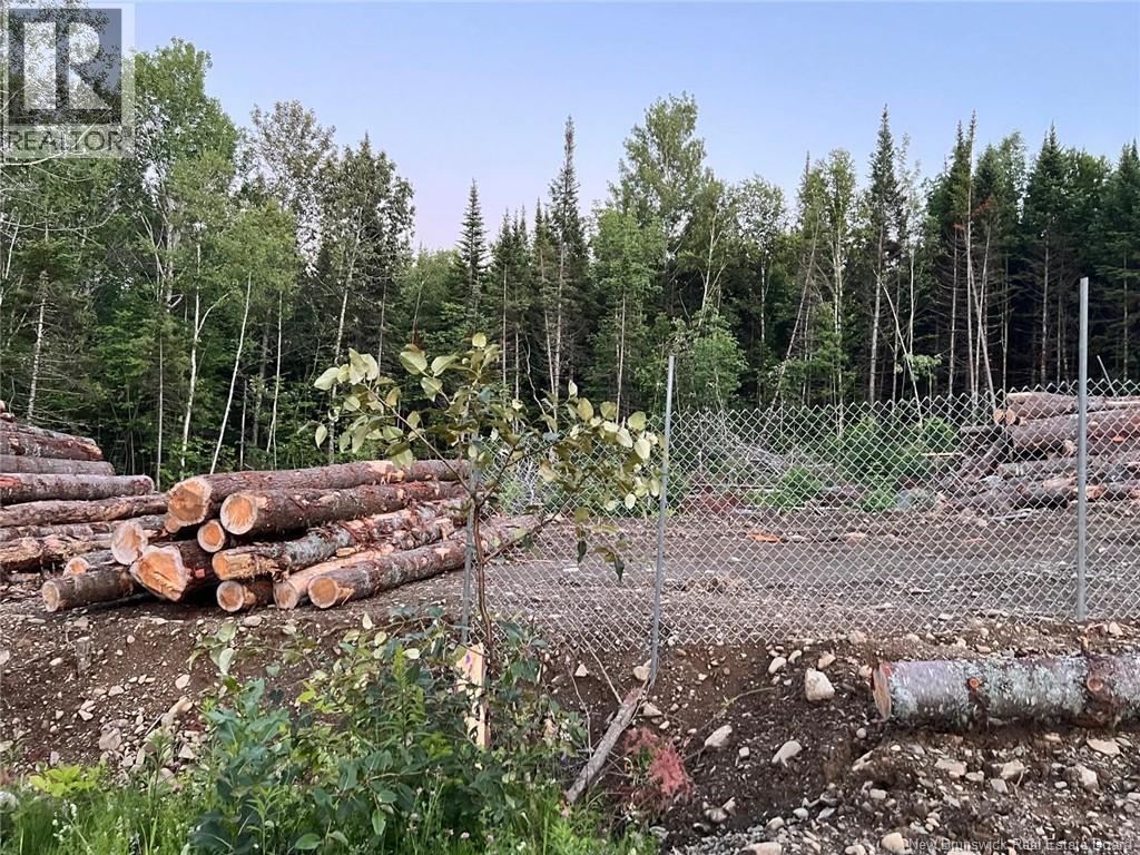 Lot Critter Road, Lower Woodstock, New Brunswick  E7N 2P7 - Photo 13 - NB111956
