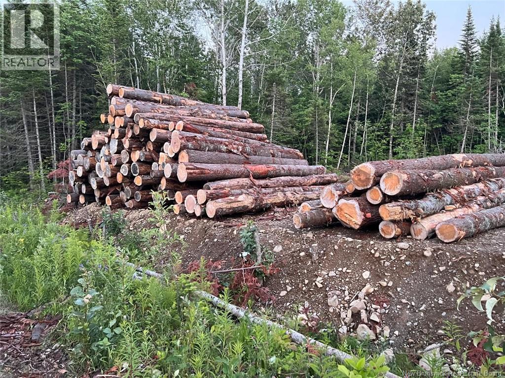 Lot Critter Road, Lower Woodstock, New Brunswick  E7N 2P7 - Photo 14 - NB111956