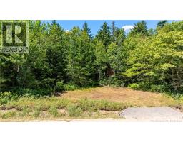 Woodlot Route 935, Rockport, New Brunswick