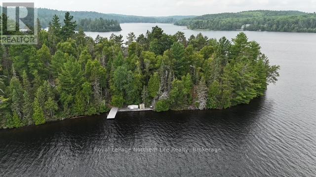 76 Cassels Lake Island A, Temagami, Ontario P0H 2H0 - Photo 5 - X12341655