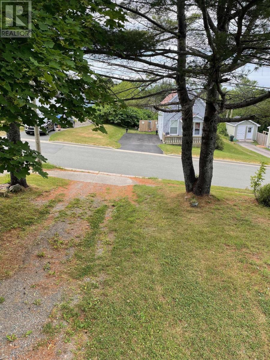 10 Spring Street, Sydney, Nova Scotia  B1P 3P2 - Photo 3 - 202520459