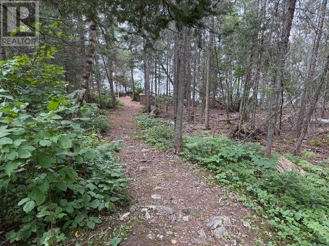 76 Cassels Lake Island A, Temagami, Ontario P0H 2H0 - Photo 28 - X12341655