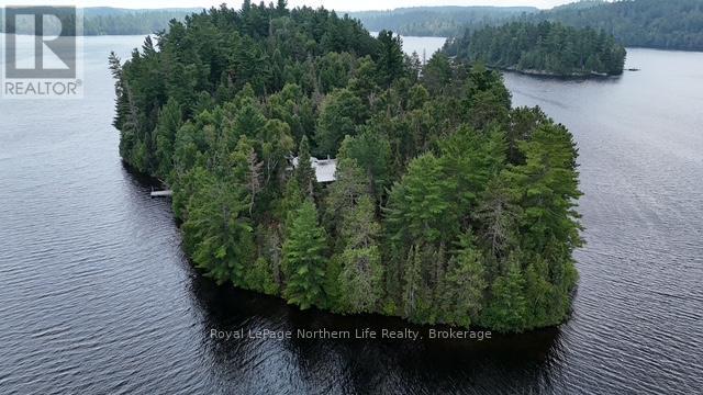 76 Cassels Lake Island A, Temagami, Ontario P0H 2H0 - Photo 29 - X12341655