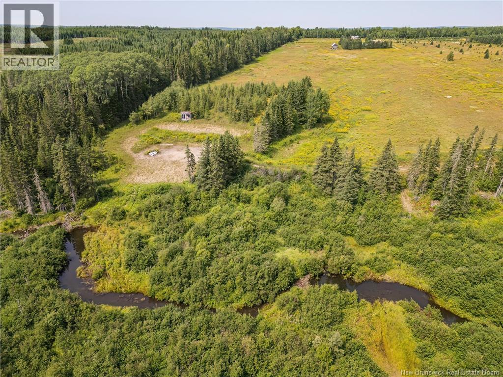 Lot Ch Du Rang 5&6, Saint-Quentin, New Brunswick  E8A 2R3 - Photo 8 - NB124636