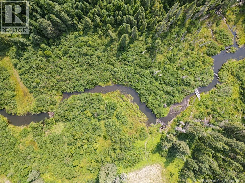 Lot Ch Du Rang 5&6, Saint-Quentin, New Brunswick  E8A 2R3 - Photo 6 - NB124636
