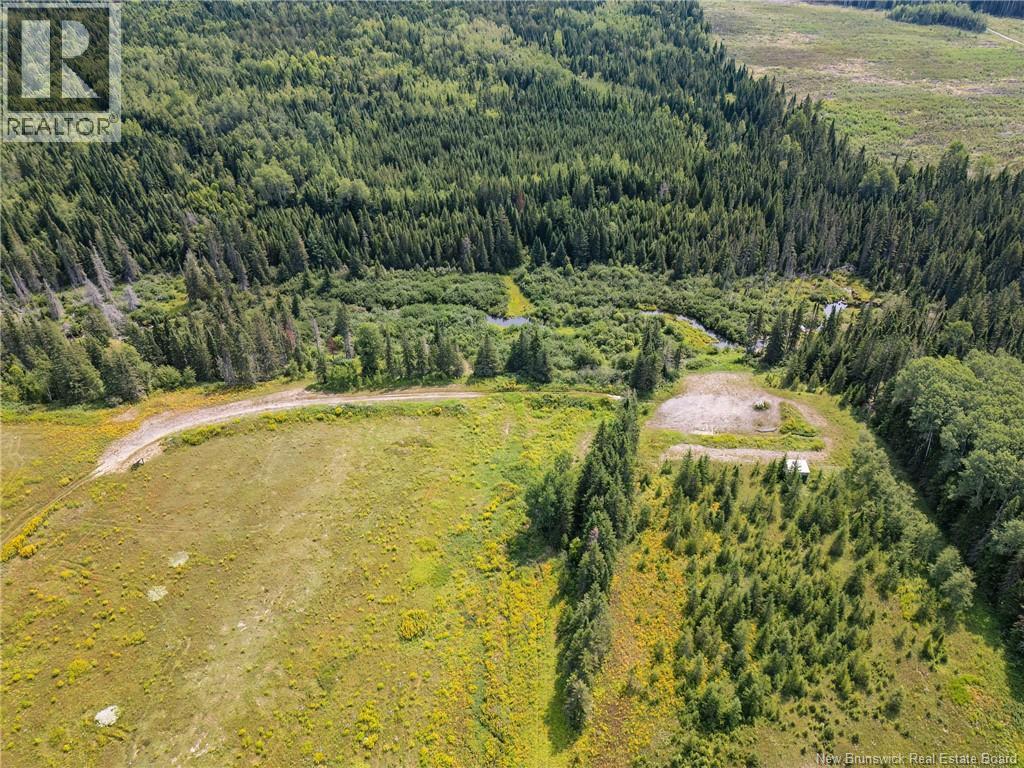 Lot Ch Du Rang 5&6, Saint-Quentin, New Brunswick  E8A 2R3 - Photo 7 - NB124636