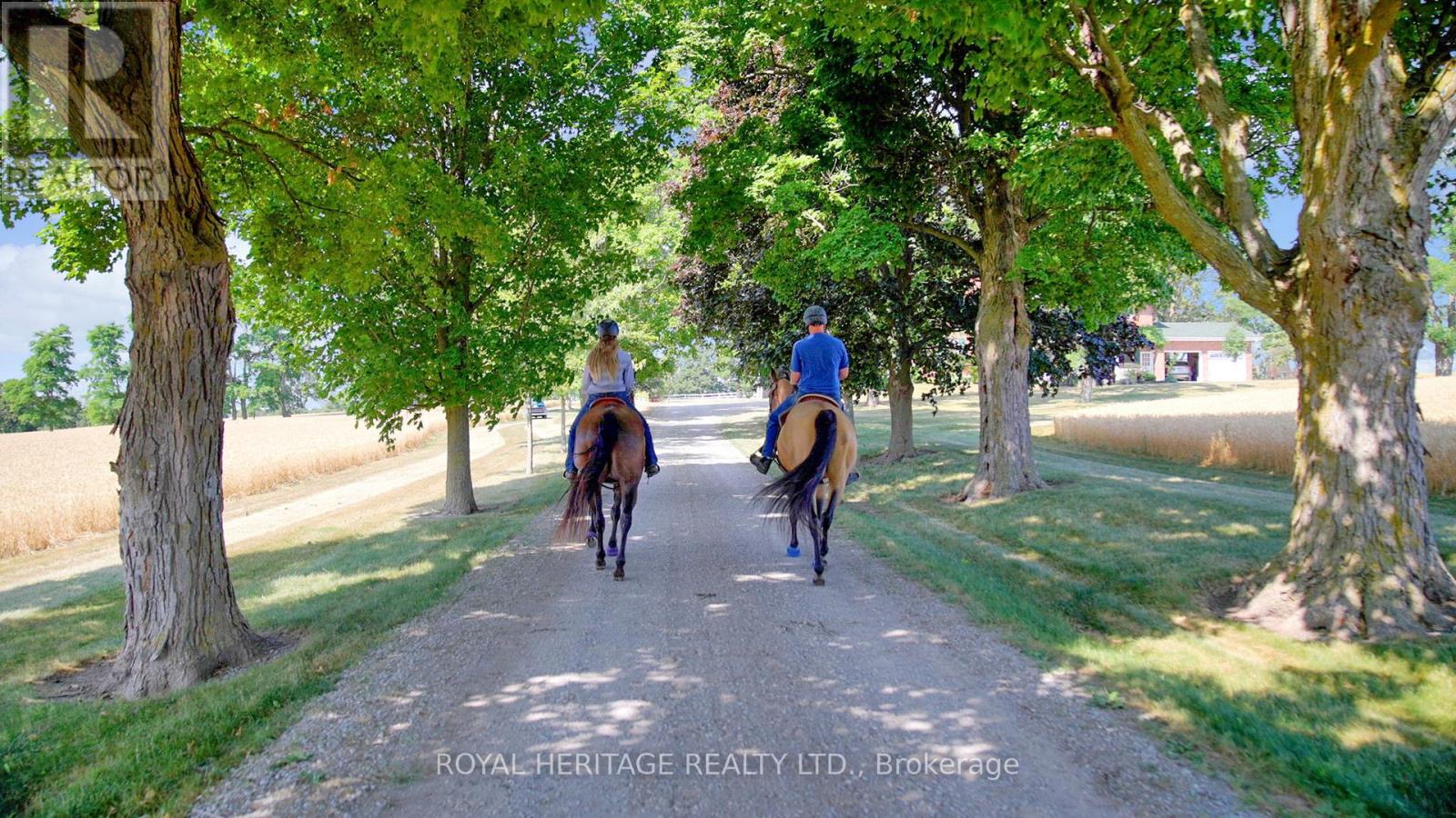 638 County 28 Road, Cavan Monaghan (Cavan Twp), Ontario  L0A 1G0 - Photo 12 - X12341880