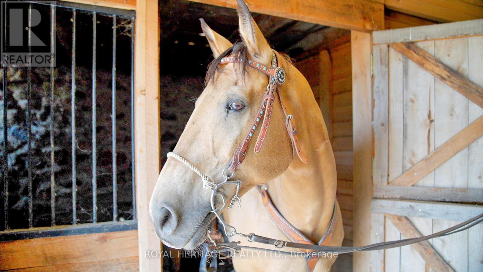 638 County 28 Road, Cavan Monaghan (Cavan Twp), Ontario  L0A 1G0 - Photo 21 - X12341880