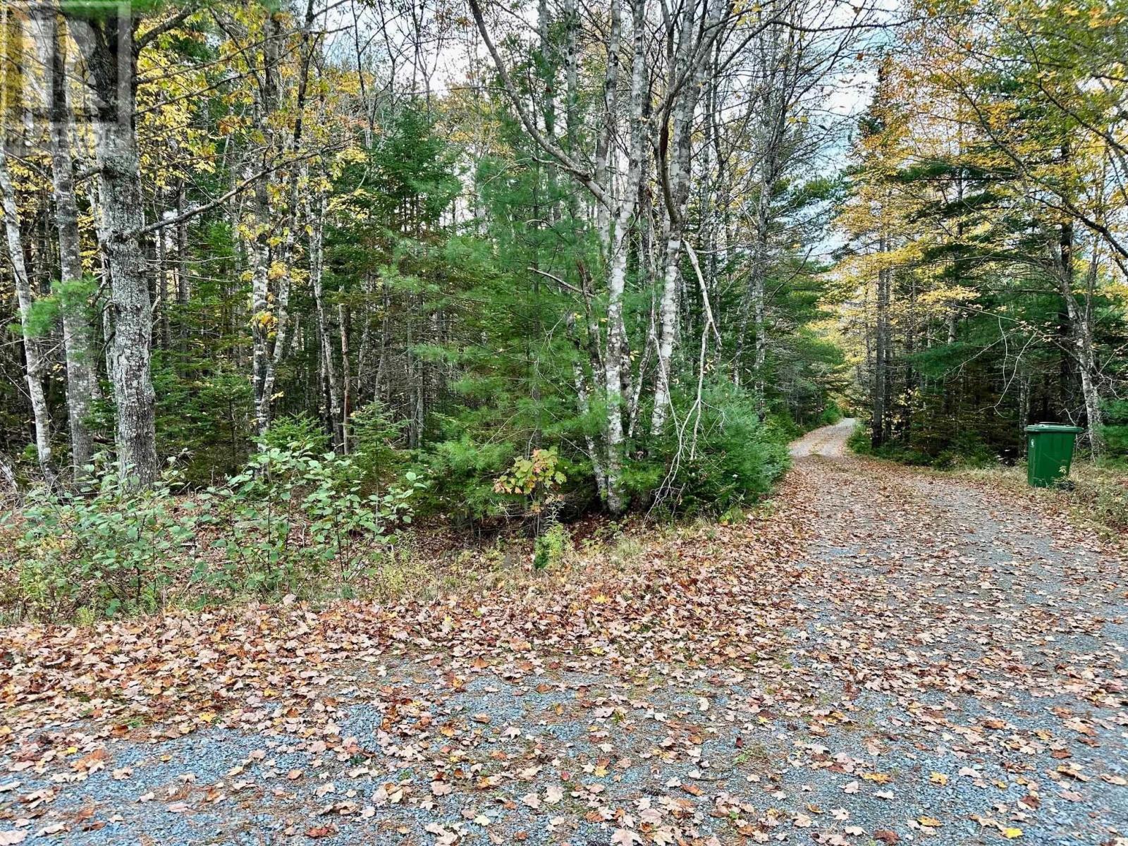 36 Acres Mill Village East Road, Charleston, Nova Scotia  B0J 2H0 - Photo 2 - 202520464
