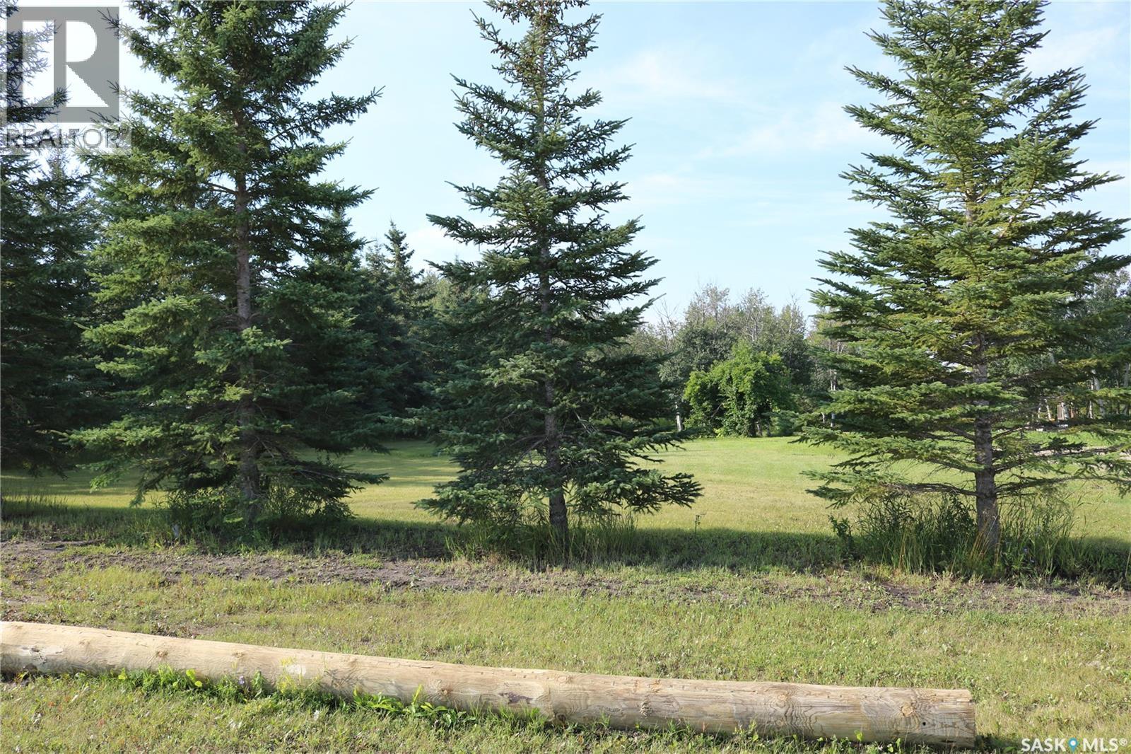 1011 Qu'appelle Street, Wapella, Saskatchewan  S0G 4Z0 - Photo 11 - SK015497