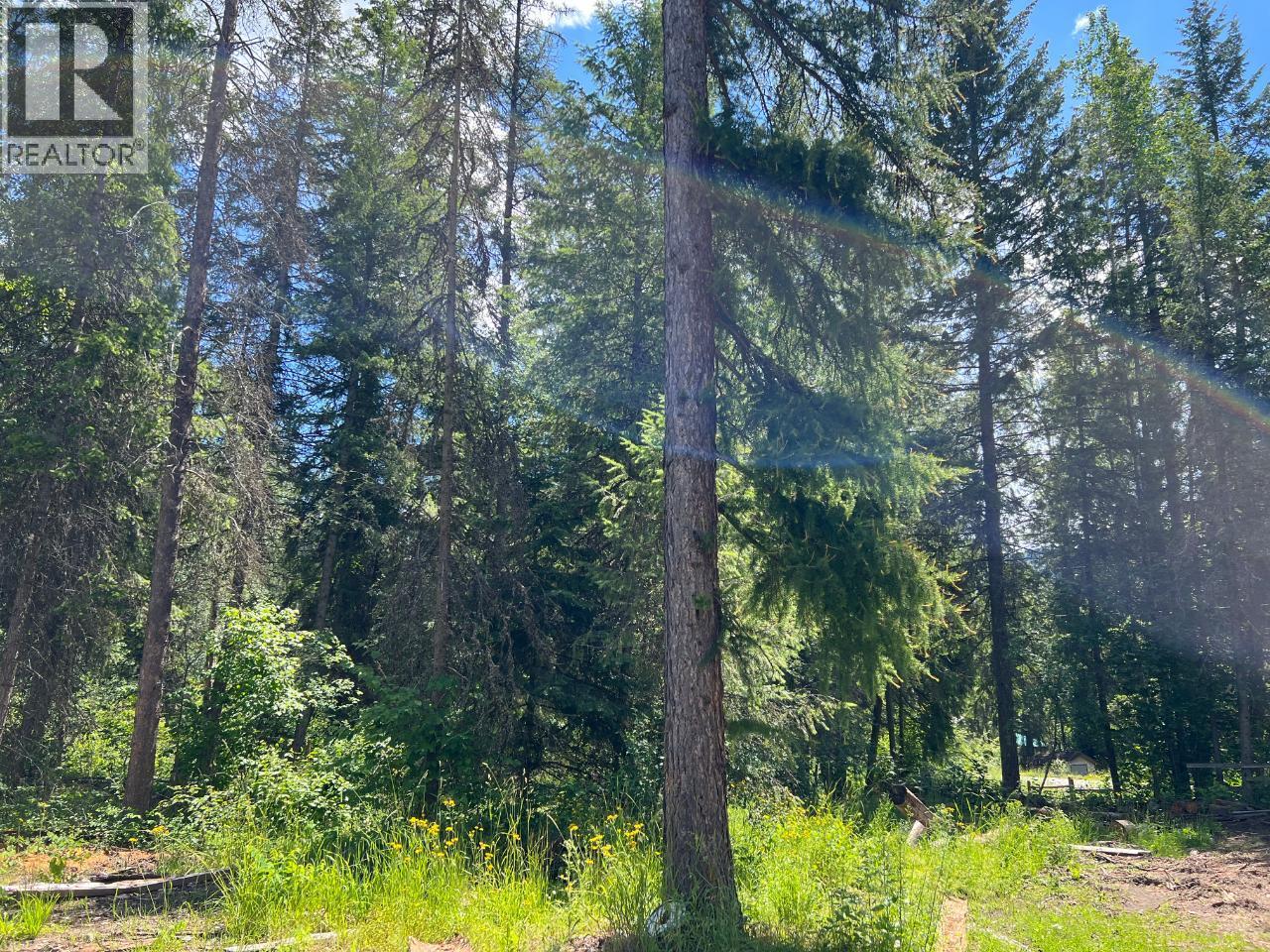 Lot A Bluebird Road, Fruitvale, British Columbia  V0G 1L1 - Photo 12 - 10359163