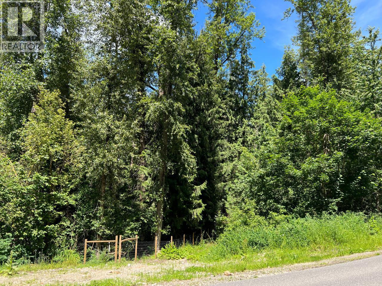 Lot A Bluebird Road, Fruitvale, British Columbia  V0G 1L1 - Photo 6 - 10359163