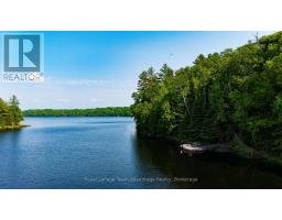 438 SHAWANAGA LAKE, Whitestone, Ontario