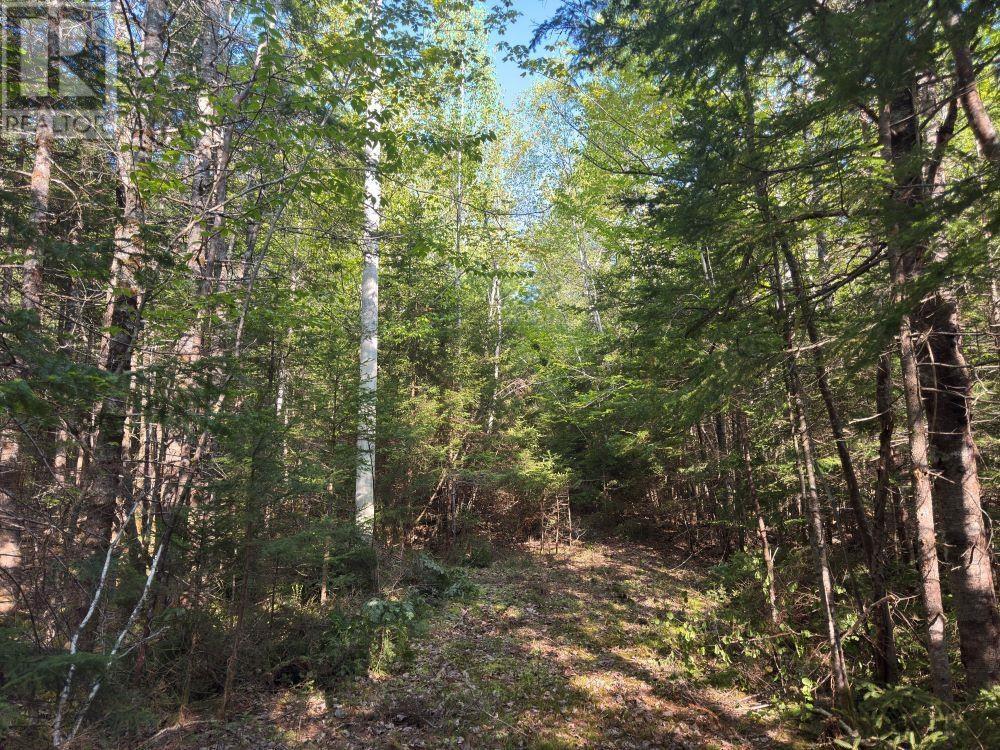 Station Road, Kinsac, Nova Scotia  B4G 1C8 - Photo 10 - 202513736