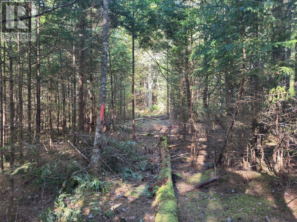 Station Road, Kinsac, Nova Scotia  B4G 1C8 - Photo 14 - 202513736