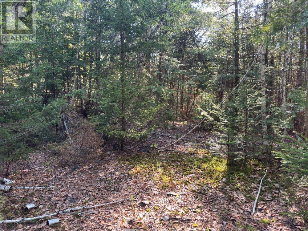 Station Road, Kinsac, Nova Scotia  B4G 1C8 - Photo 12 - 202513736