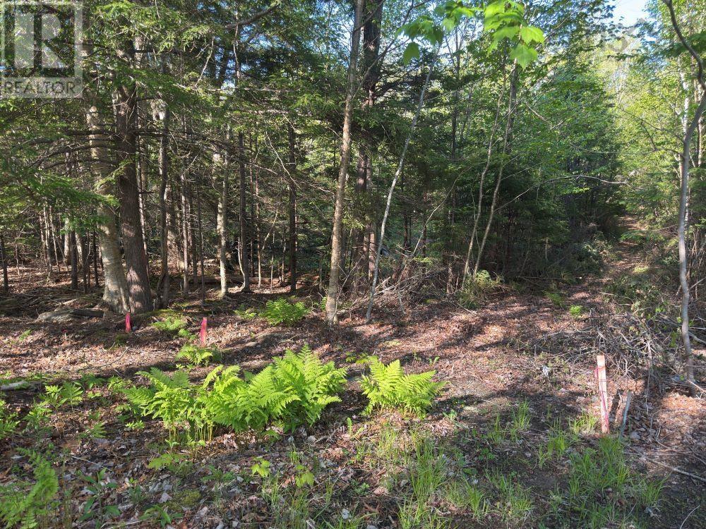 Station Road, Kinsac, Nova Scotia  B4G 1C8 - Photo 7 - 202513736