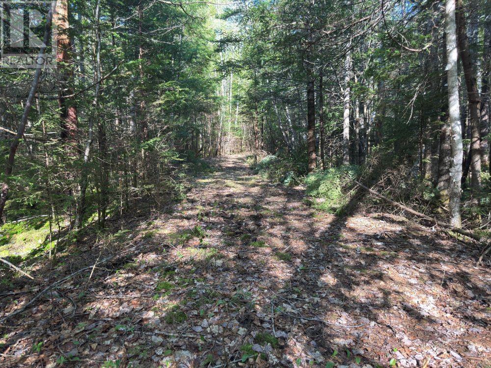Station Road, Kinsac, Nova Scotia  B4G 1C8 - Photo 9 - 202513736