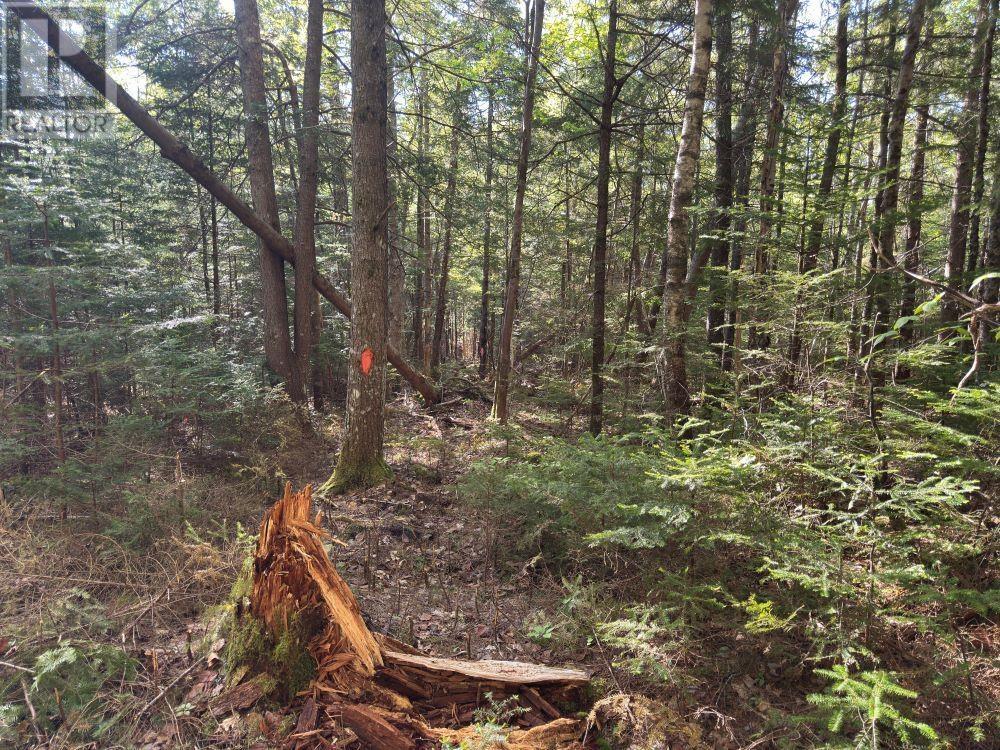 Station Road, Kinsac, Nova Scotia  B4G 1C8 - Photo 17 - 202513736