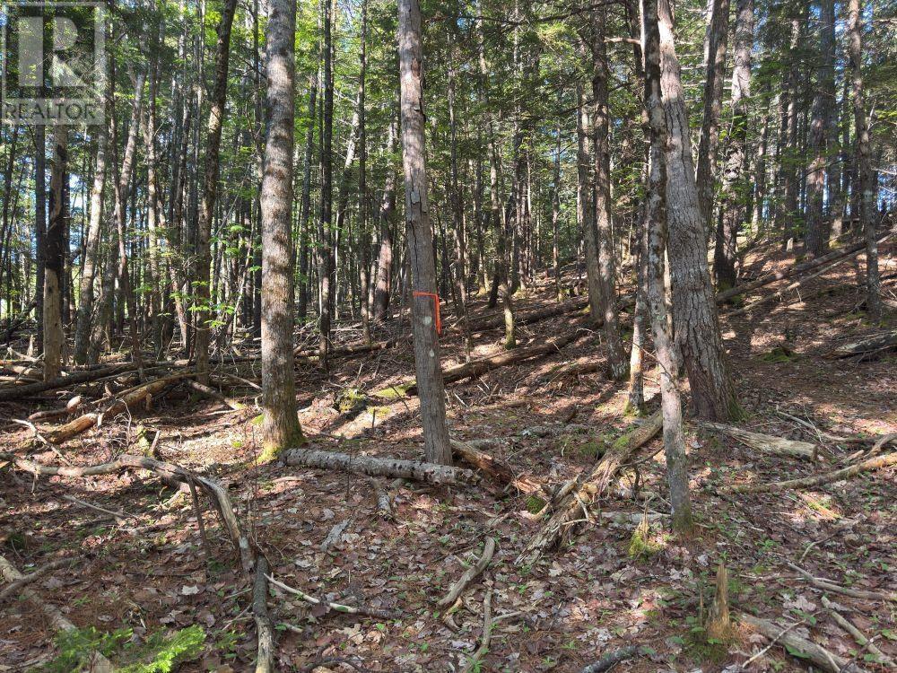 Station Road, Kinsac, Nova Scotia  B4G 1C8 - Photo 15 - 202513736
