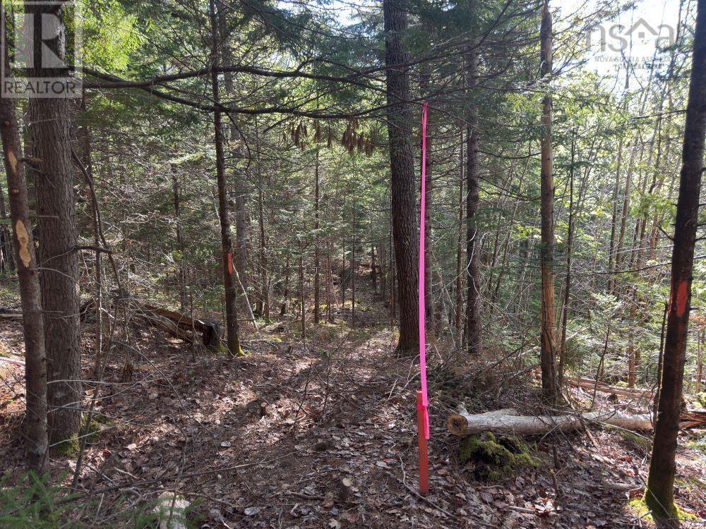 Station Road, Kinsac, Nova Scotia  B4G 1C8 - Photo 20 - 202513736