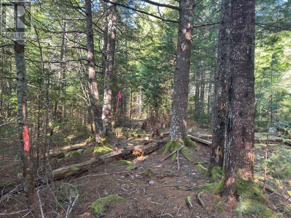 Station Road, Kinsac, Nova Scotia  B4G 1C8 - Photo 13 - 202513736