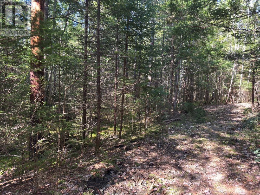 Station Road, Kinsac, Nova Scotia  B4G 1C8 - Photo 22 - 202513736