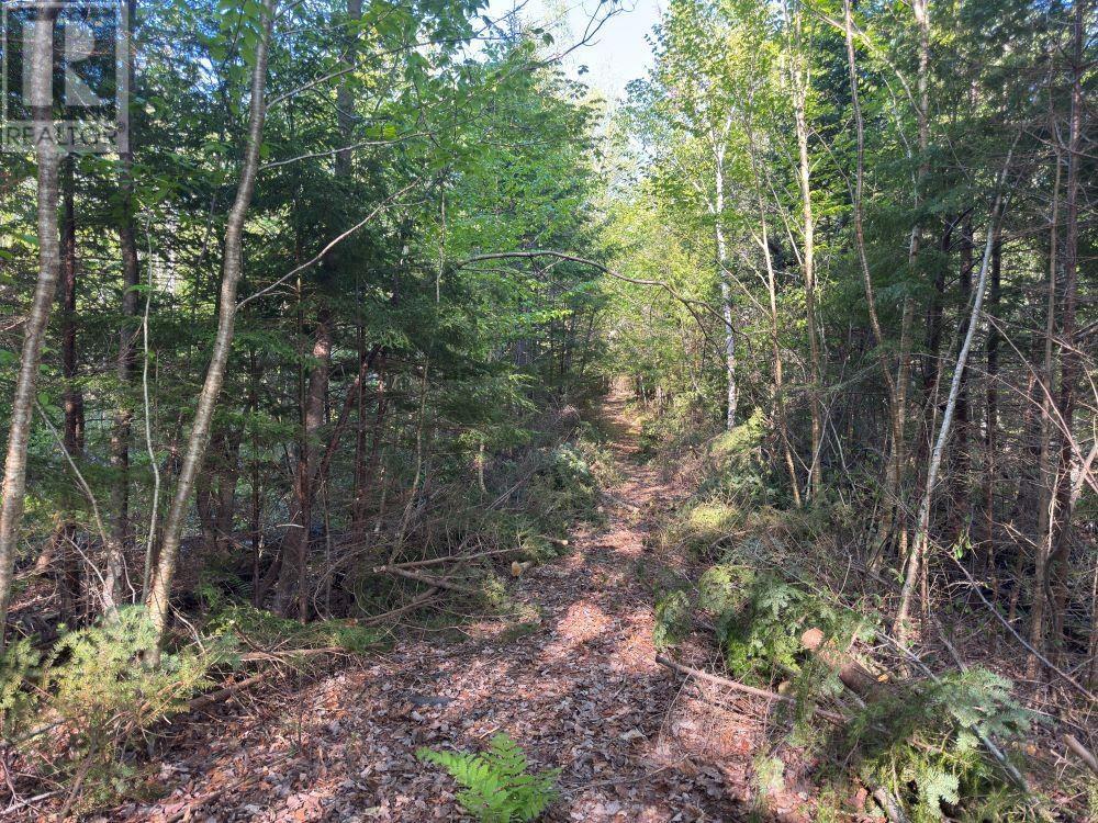 Station Road, Kinsac, Nova Scotia  B4G 1C8 - Photo 8 - 202513736