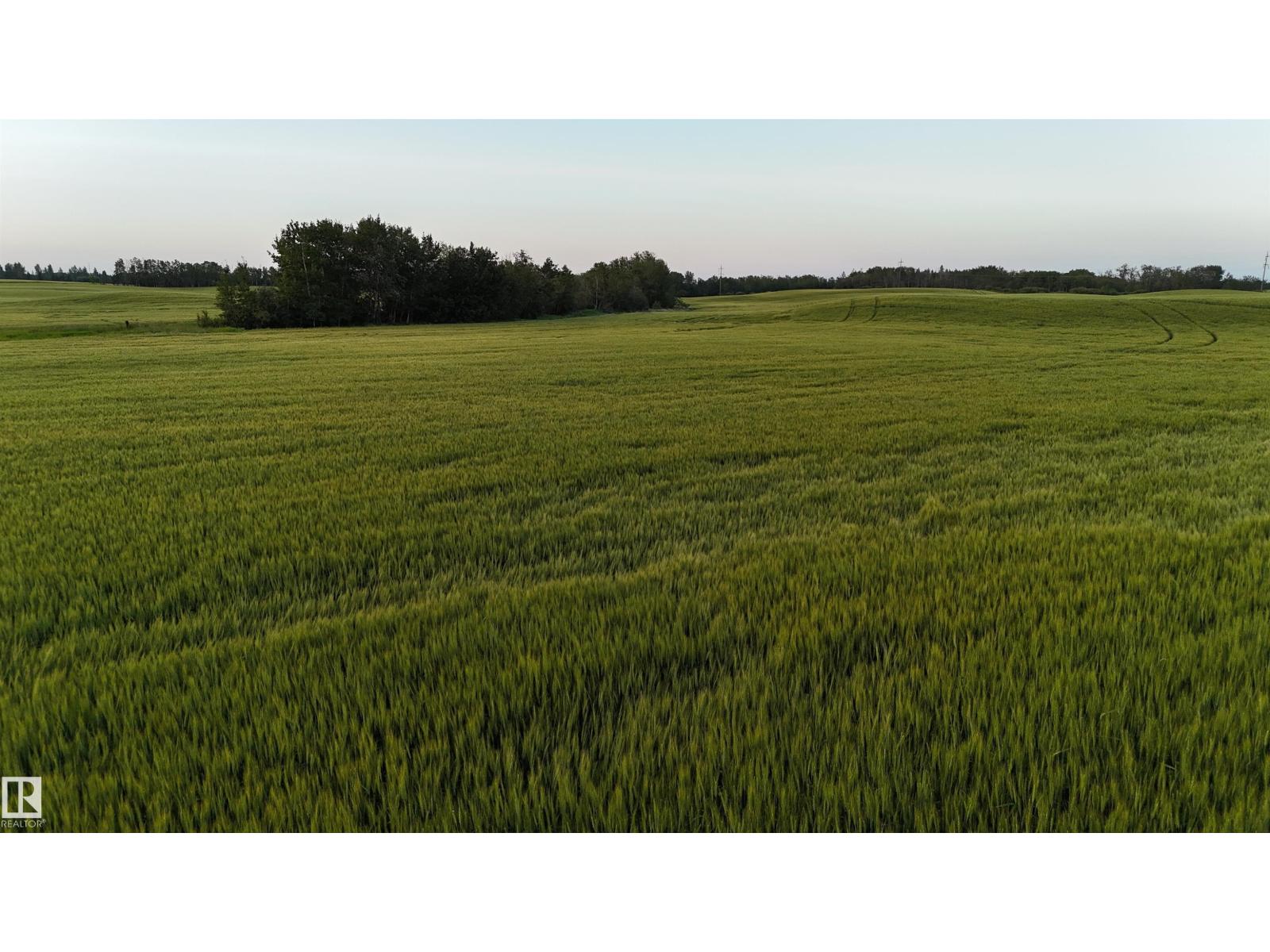 51411 Rr 233, Rural Strathcona County, Alberta  T8B 1L1 - Photo 13 - E4452693