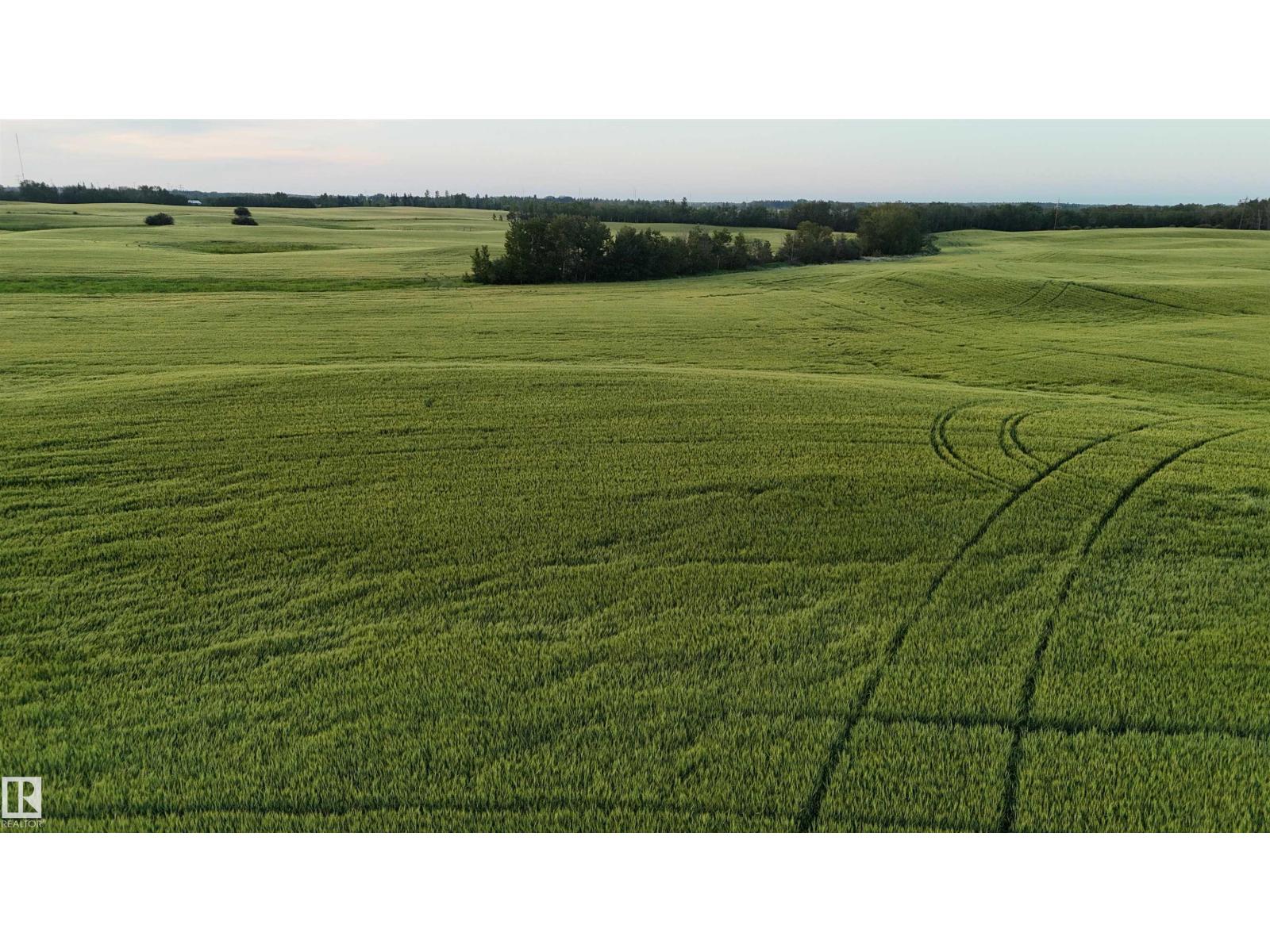 51411 Rr 233, Rural Strathcona County, Alberta  T8B 1L1 - Photo 21 - E4452693